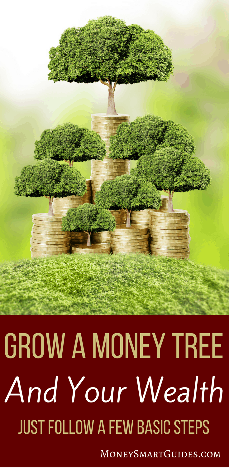 How You Can Grow Your Own Money Tree And Never Worry About Money Again