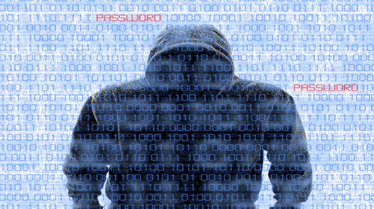 identity theft hacker