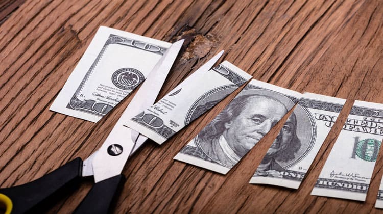 cut up 100 dollar bill
