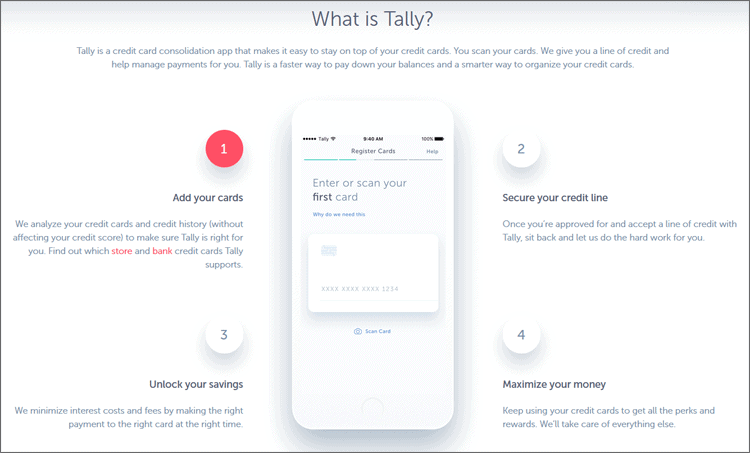 What Is Tally