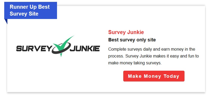 Survey Junkie Surveys