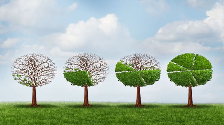 how to rebalance a portfolio