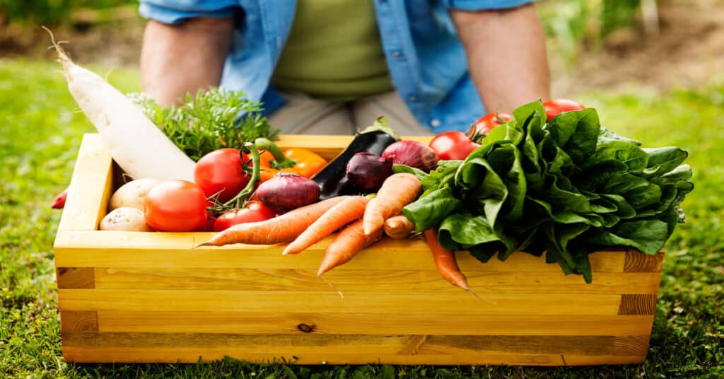 box of fresh vegetables