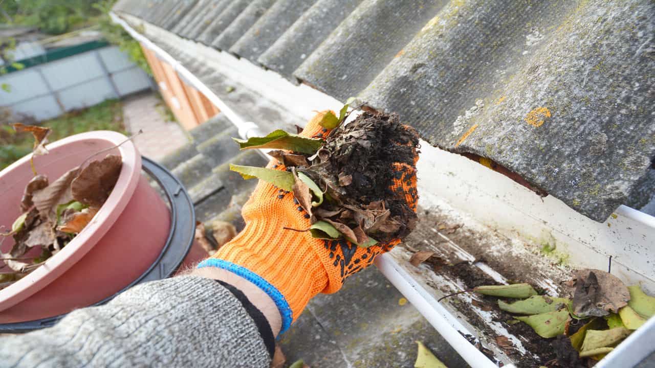 gutter-cleaning