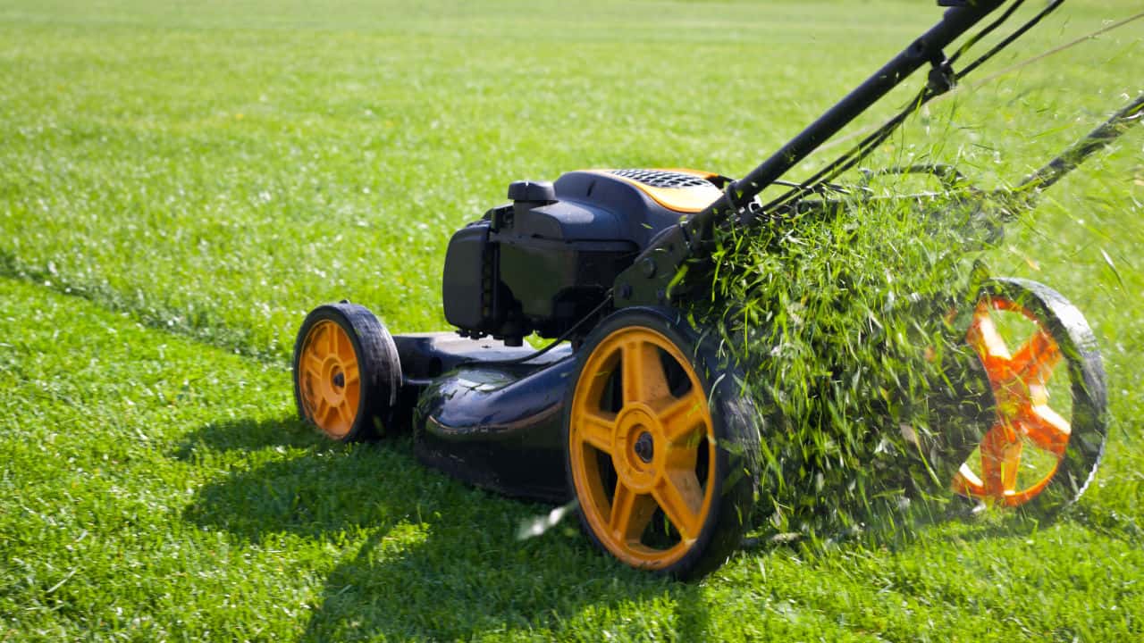 Push Mow the lawn