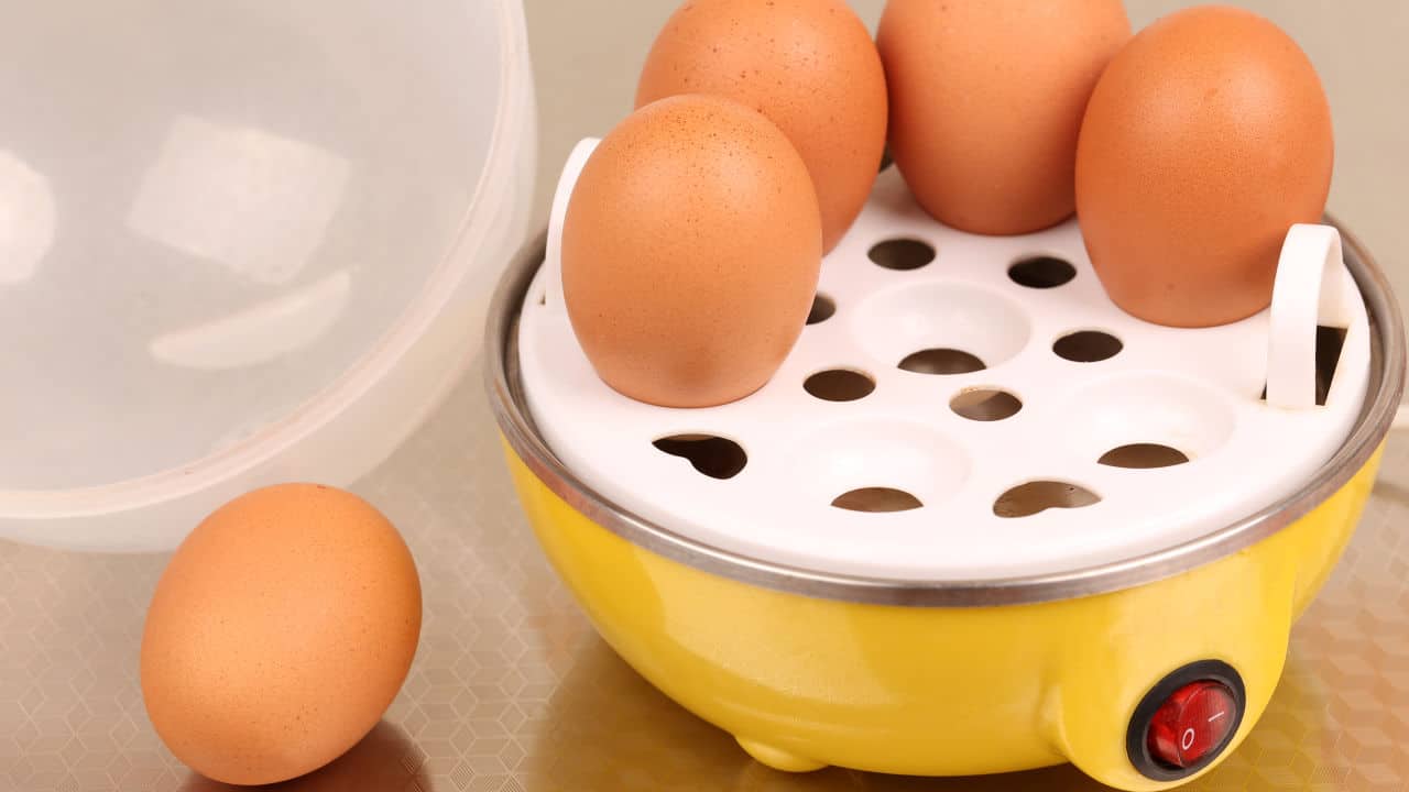 Electric Egg Cooker