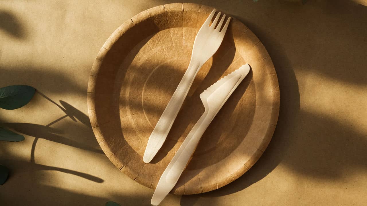 Eco friendly disposable cutlery.