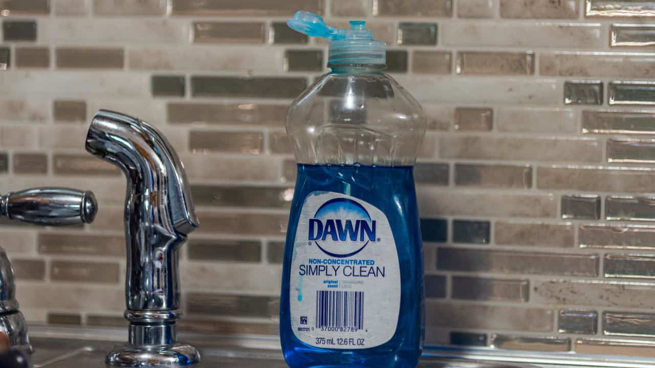 Dawn Dish Washing Liquid on Kitchen Sink
