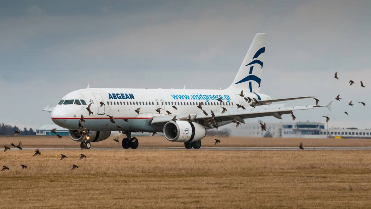 after landing at PRG Airport in dangerous situation can caused bird strike