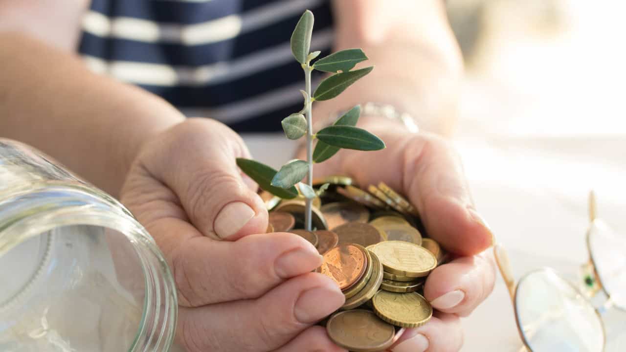 Grandfather's hands with the savings and the plant growing