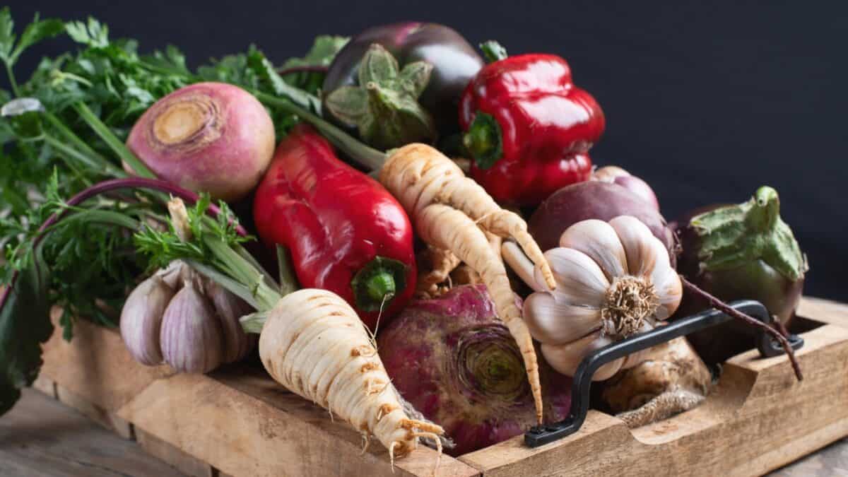 Fresh harvested misfit vegetables