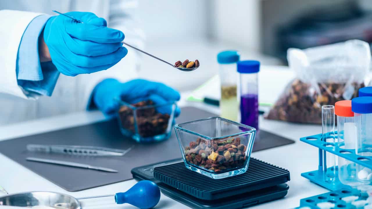 Pet food quality control test. Measuring dry pet food kibble on digital scale